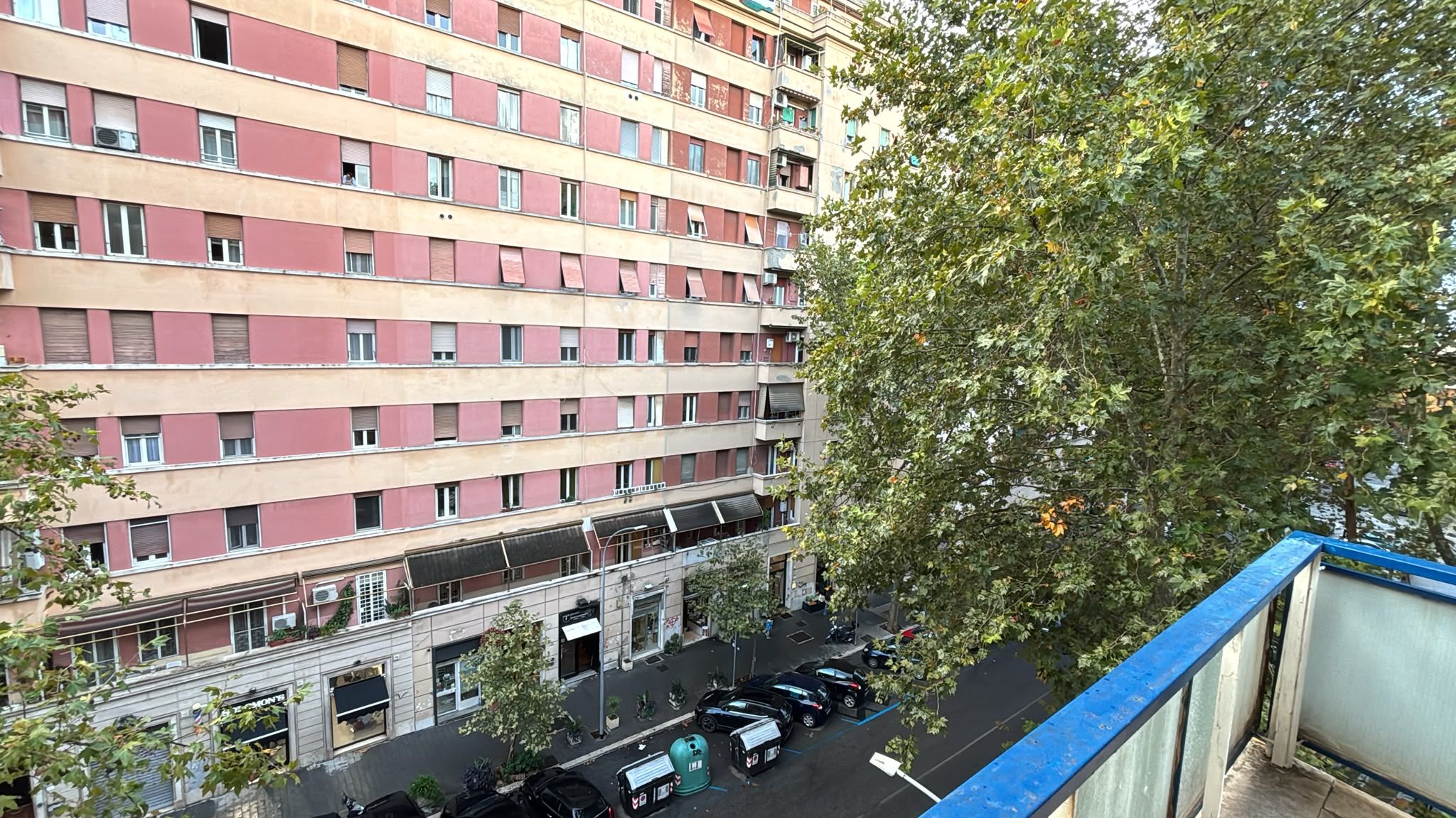 A multi-story building with a row of windows and balconies, a street with parked cars, and a tree in the foreground.