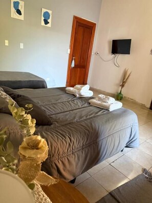 Un dormitorio con dos camas, una puerta de madera, un televisor de pantalla plana y un florero con plantas secas.