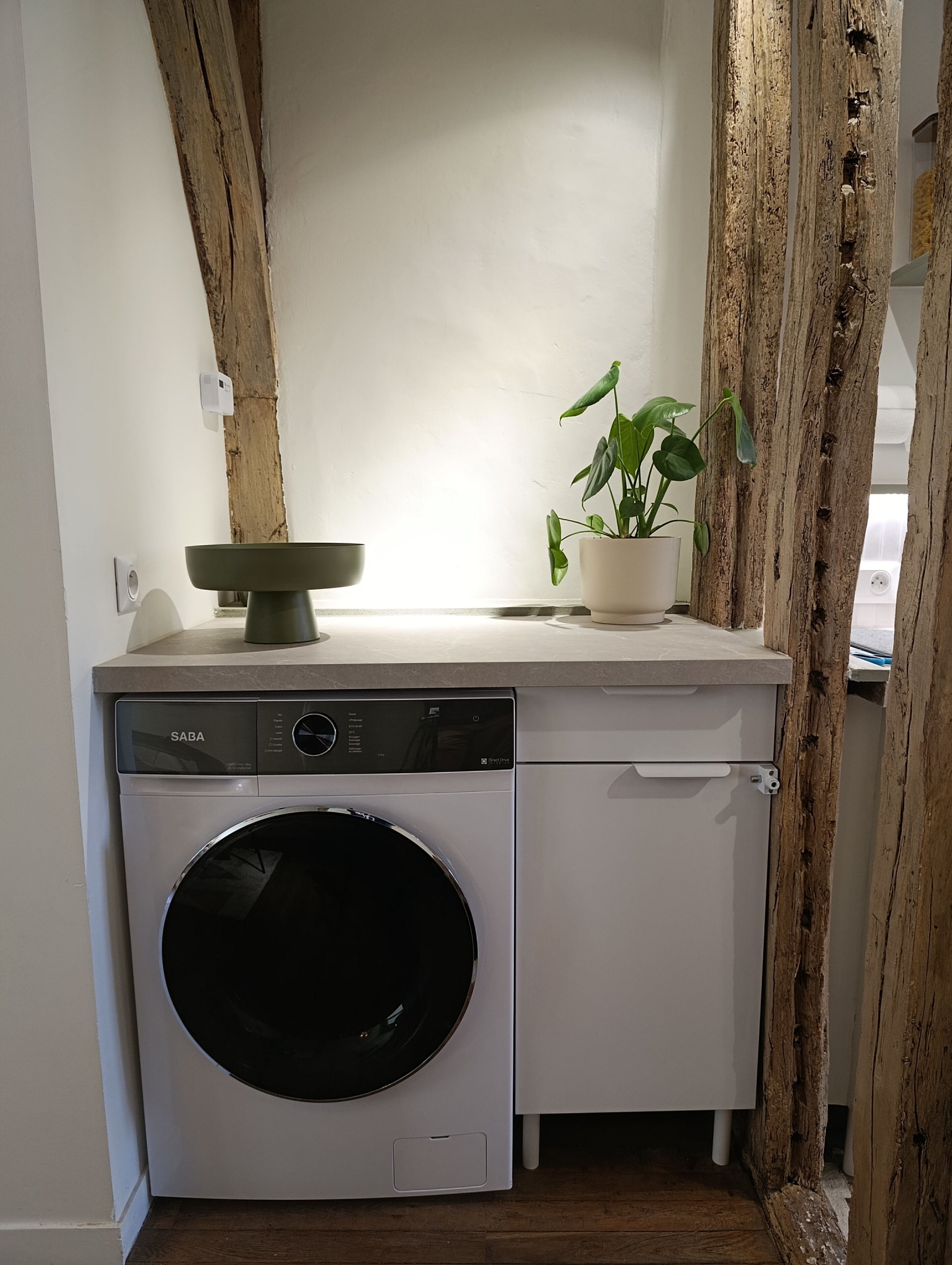 A compact laundry area with a front-loading washing machine, a sink, and a potted plant.