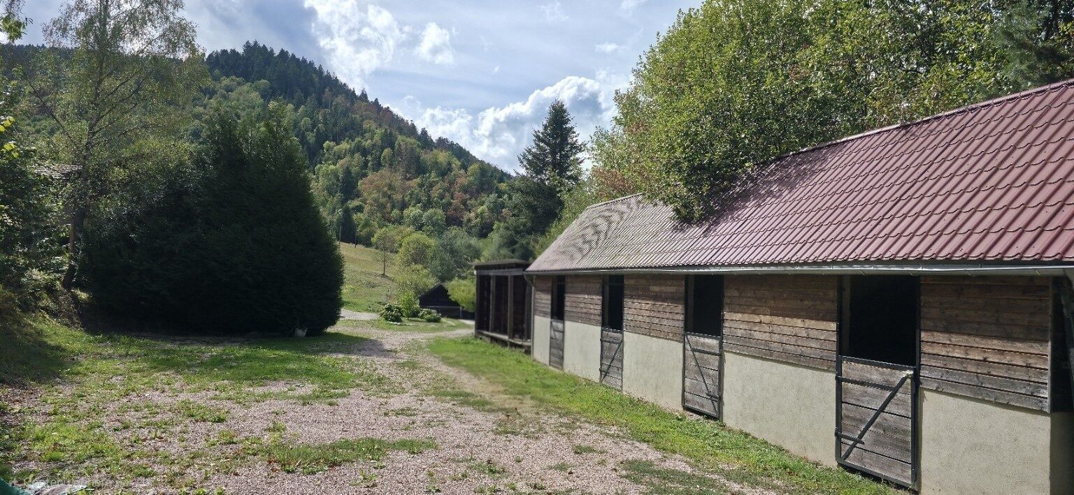 A rural property with a gravel path leading to a building with multiple windows and a metal roof.