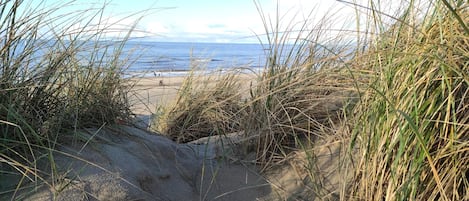 A beach with sand dunes and grass.
