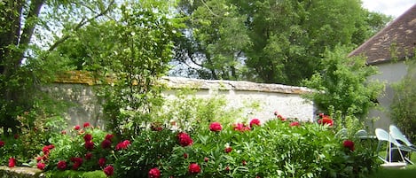 A stone wall with a garden featuring red flowers and green foliage.