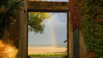Un arco de ladrillo con vistas a una playa y un arcoíris.
