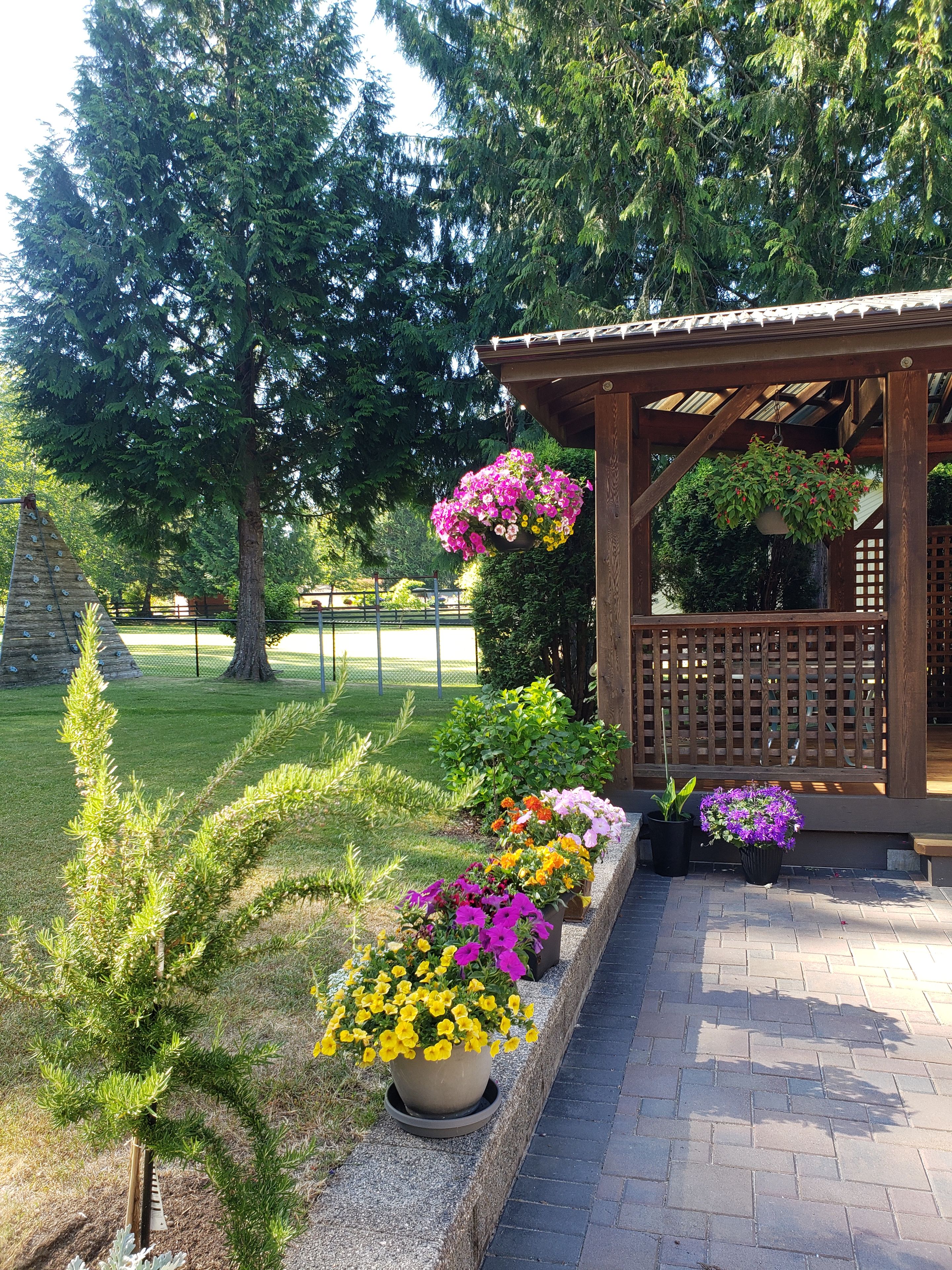Une pergola en bois ornée de suspensions fleuries, un chemin pavé et une variété de plantes en pot.