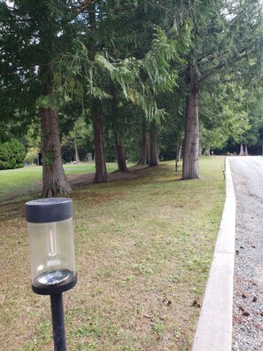 A park with a clear path, trees, and a black object on a post.