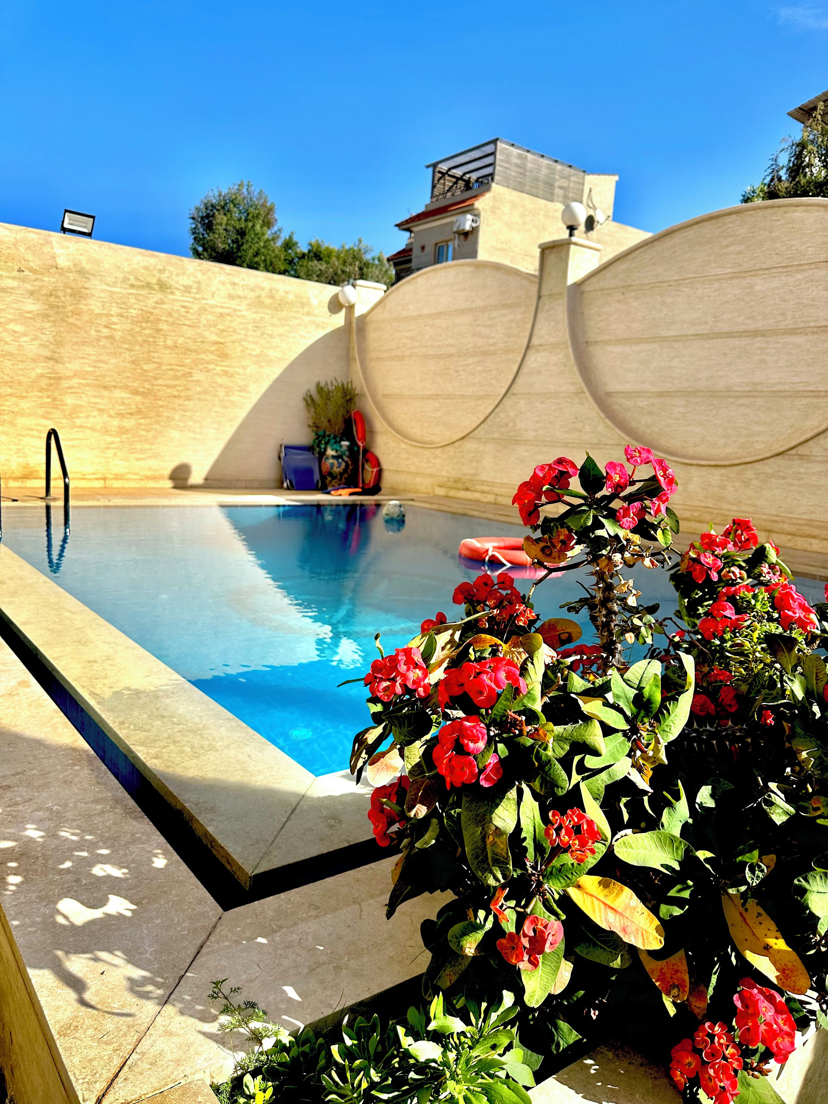 Una piscina con pared curva y un parterre con flores rojas.