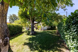 A well-maintained garden with a large tree, a stone bench, and a clear pathway. - Holiday Home 'Domaine Liminalis' with Private Terrace, Garden and Wi-Fi (Saint-Martin-Petit)