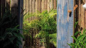 Um portão de madeira com uma porta azul, cercado por plantas verdes exuberantes.