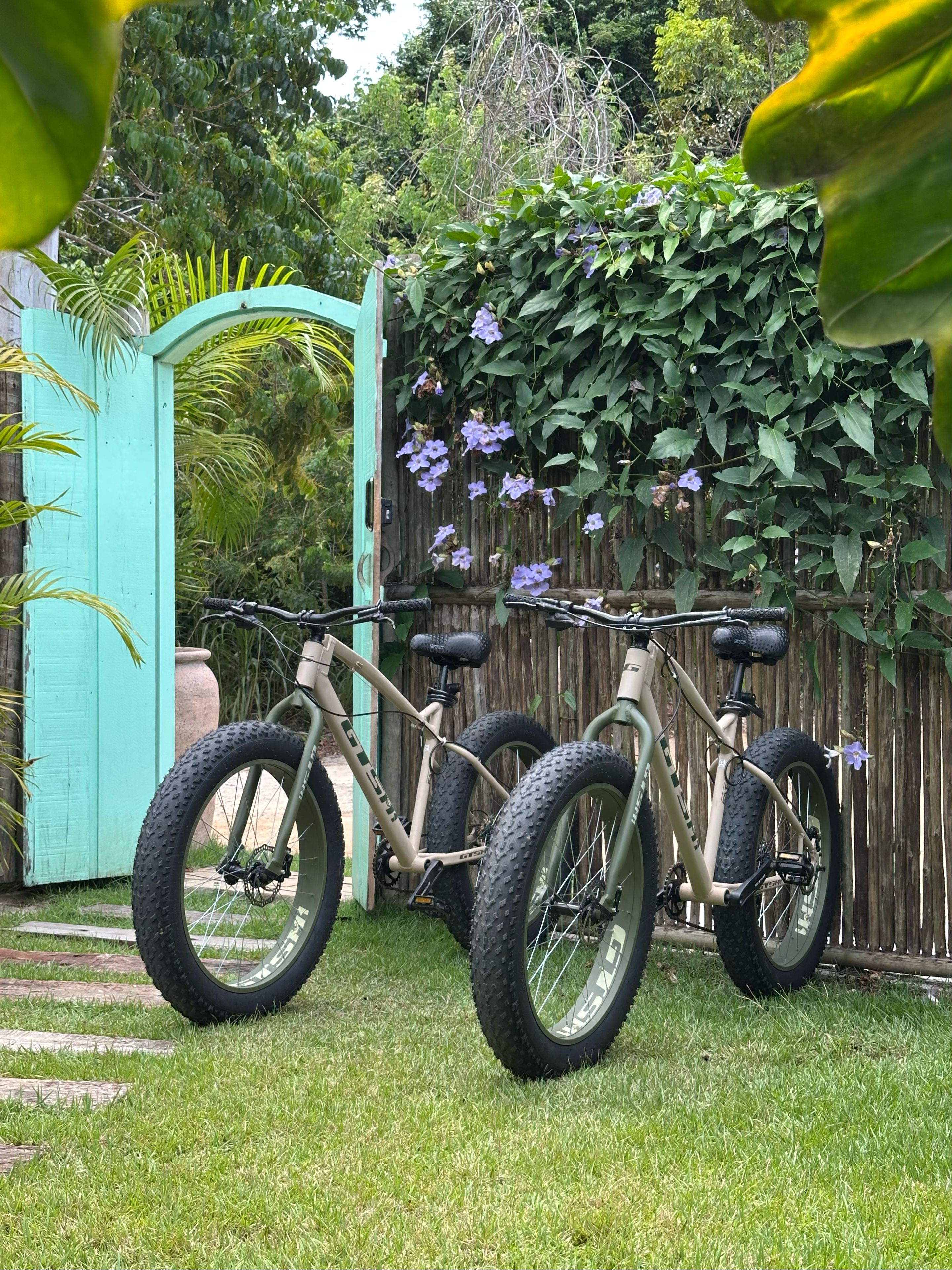Dos bicicletas estacionadas en un jardín con cerca de madera y follaje al fondo.