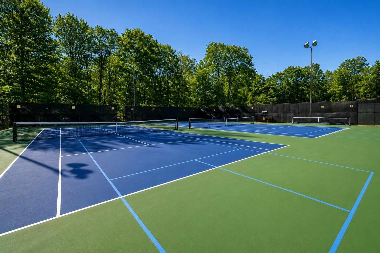 A tennis court with a net, surrounded by trees and a fence.