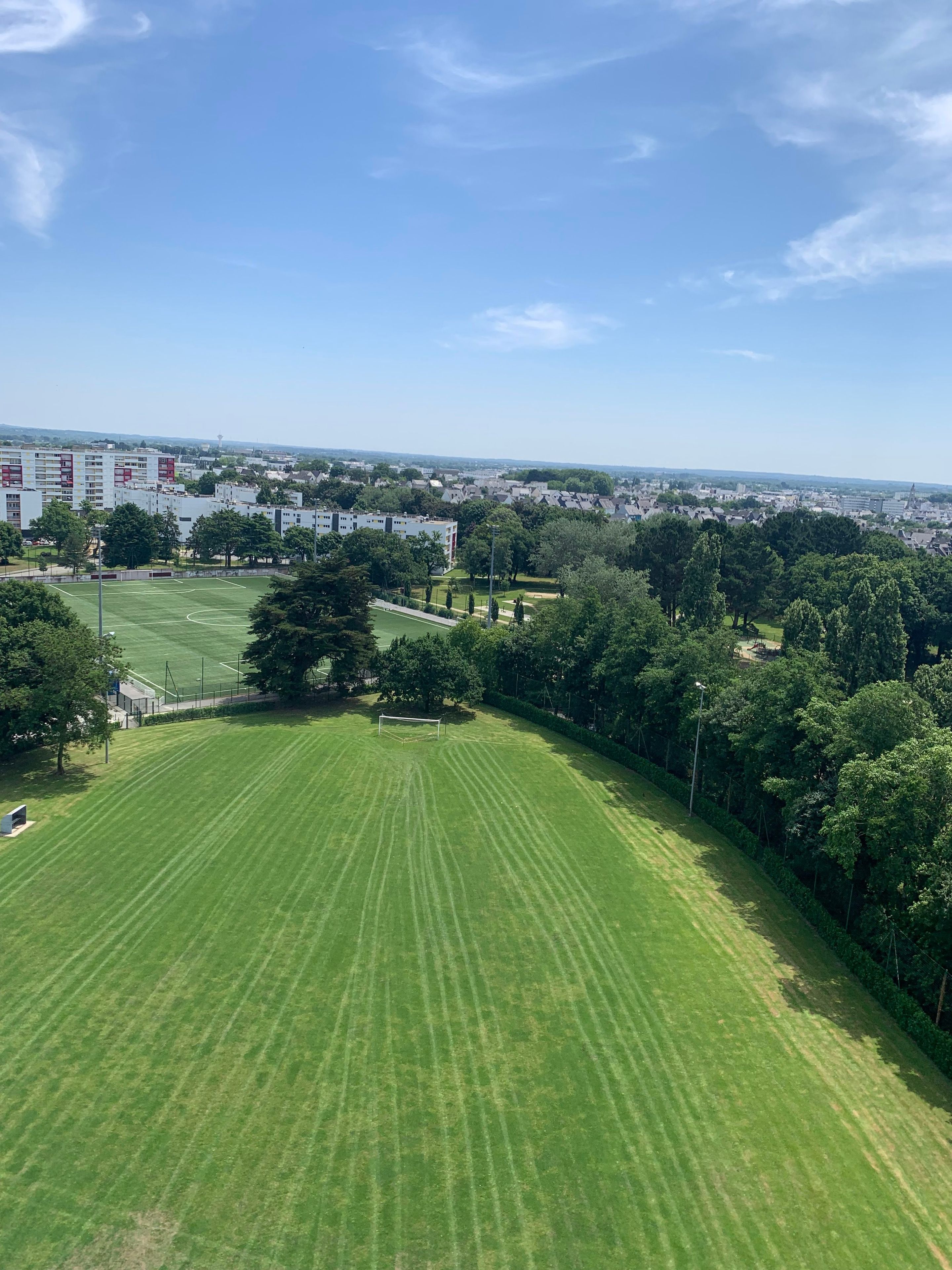 A grassy field with a goalpost, surrounded by trees and buildings in the background.