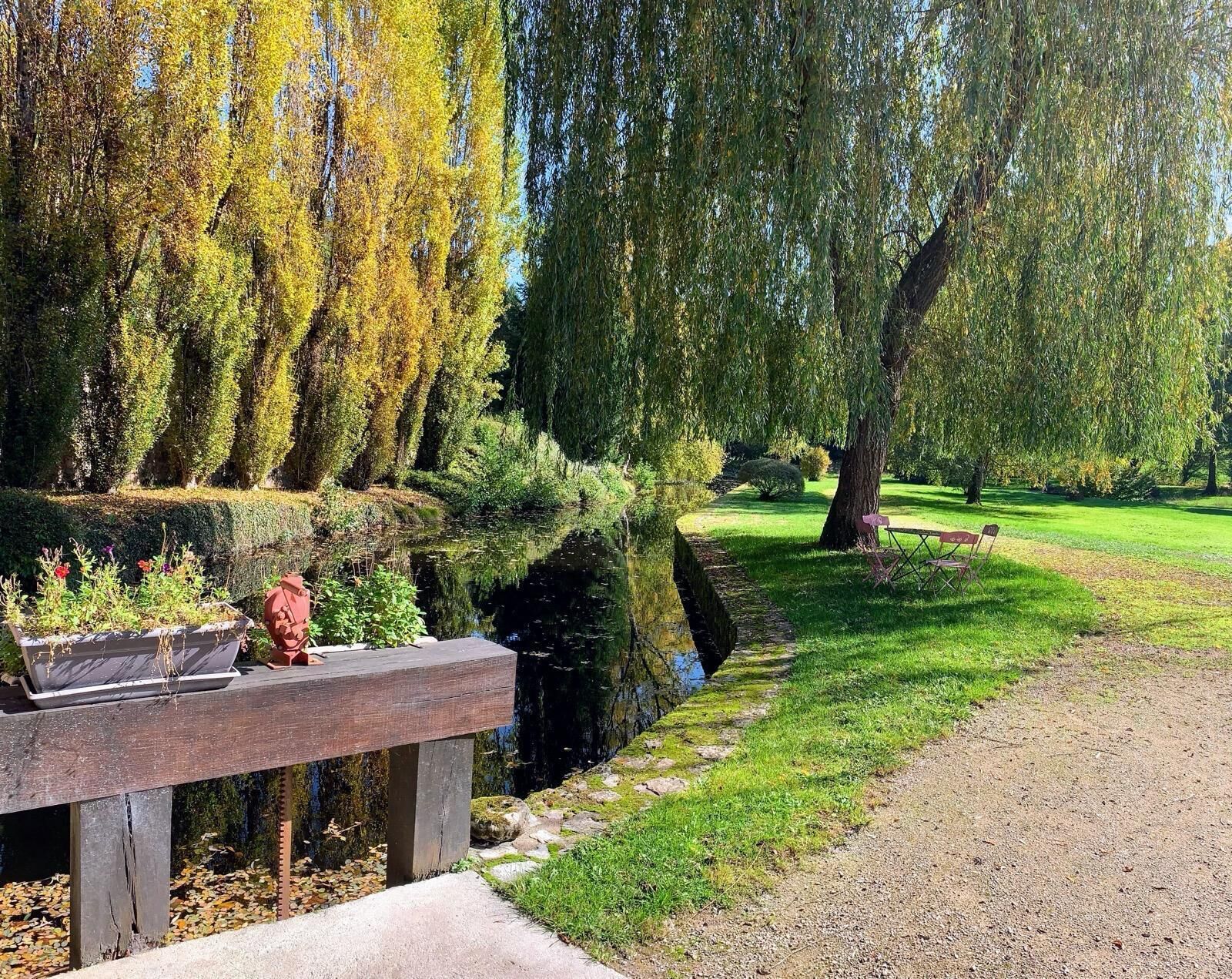 Un parc paisible avec un banc en bois, une petite table ornée de plantes en pot et un chemin dégagé.