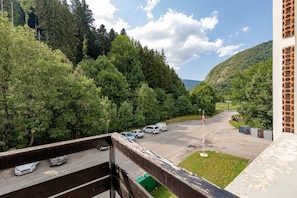 A parking area with cars and a flag, surrounded by dense forest and a mountain in the background. - La Pause du Lindar - Studio avec Balcon (Aillon-le-Jeune)