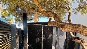 Un molo di legno con un cancello metallico, un albero con un ramo curvo e un edificio con una schermatura a rete.