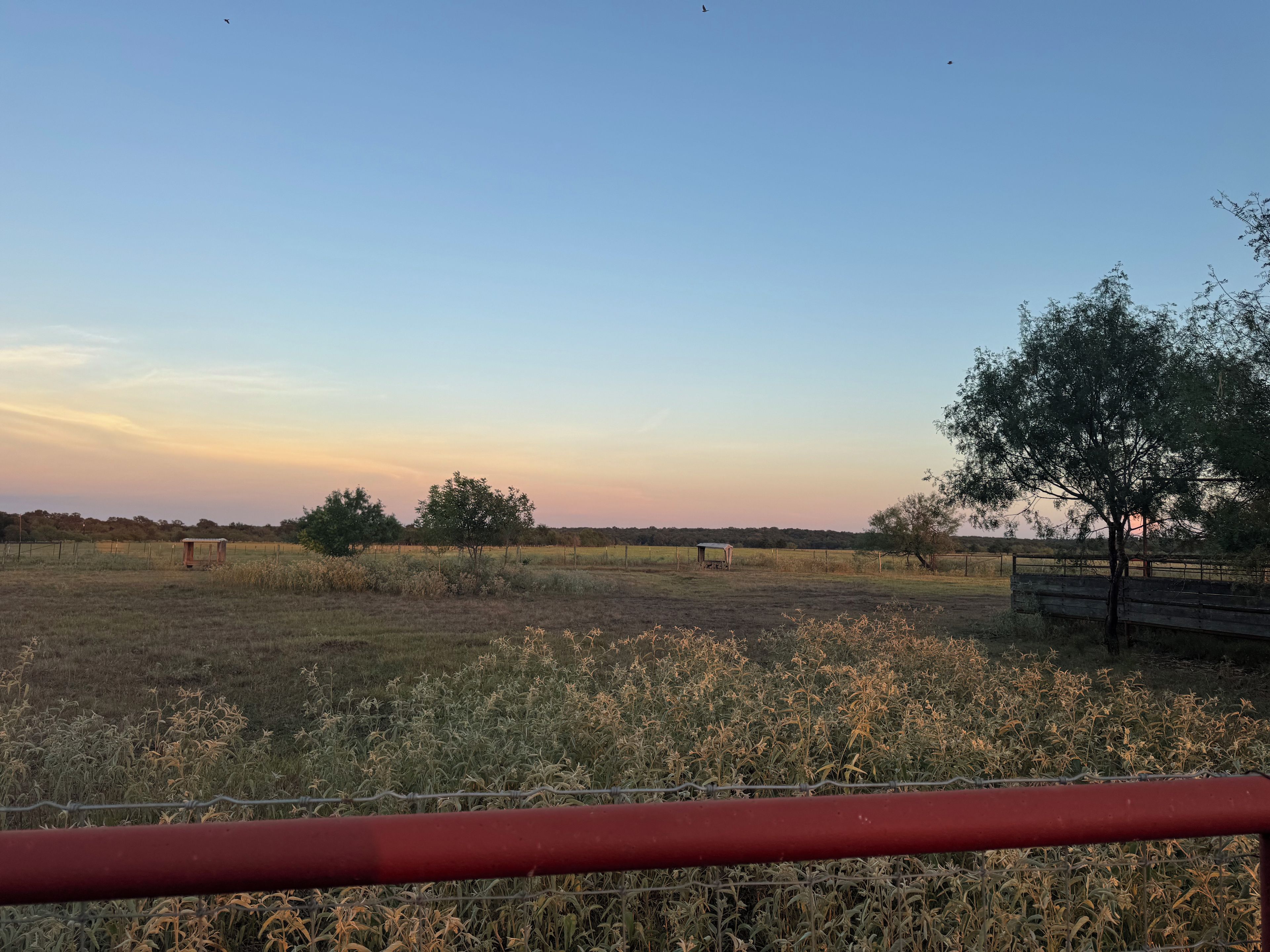 A rural landscape with a field, trees, and a fence.