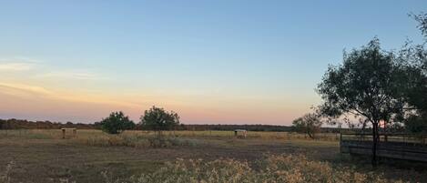 A rural landscape with a field, trees, and a fence.