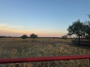 A rural landscape with a field, trees, and a fence.