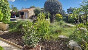 A garden with a variety of plants and a large tree.