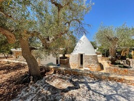 Doppia Superior, vista giardino | Esterni