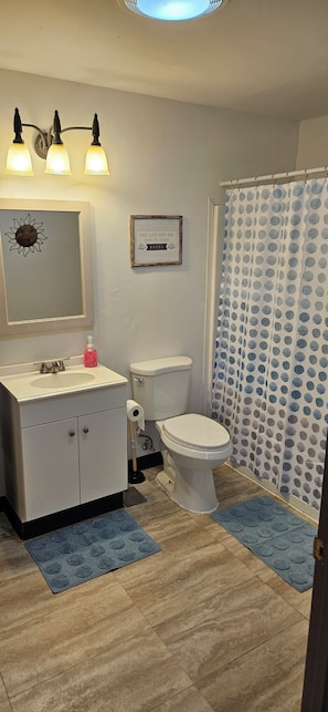 Unclassified image, 4 of 17, button - Cozy 1-bedroom apartment in cool Iron River with AC (Iron River)