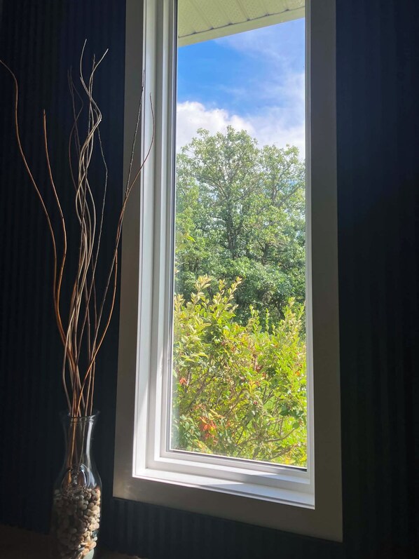 Una finestra amb vista a vegetació i arbres.