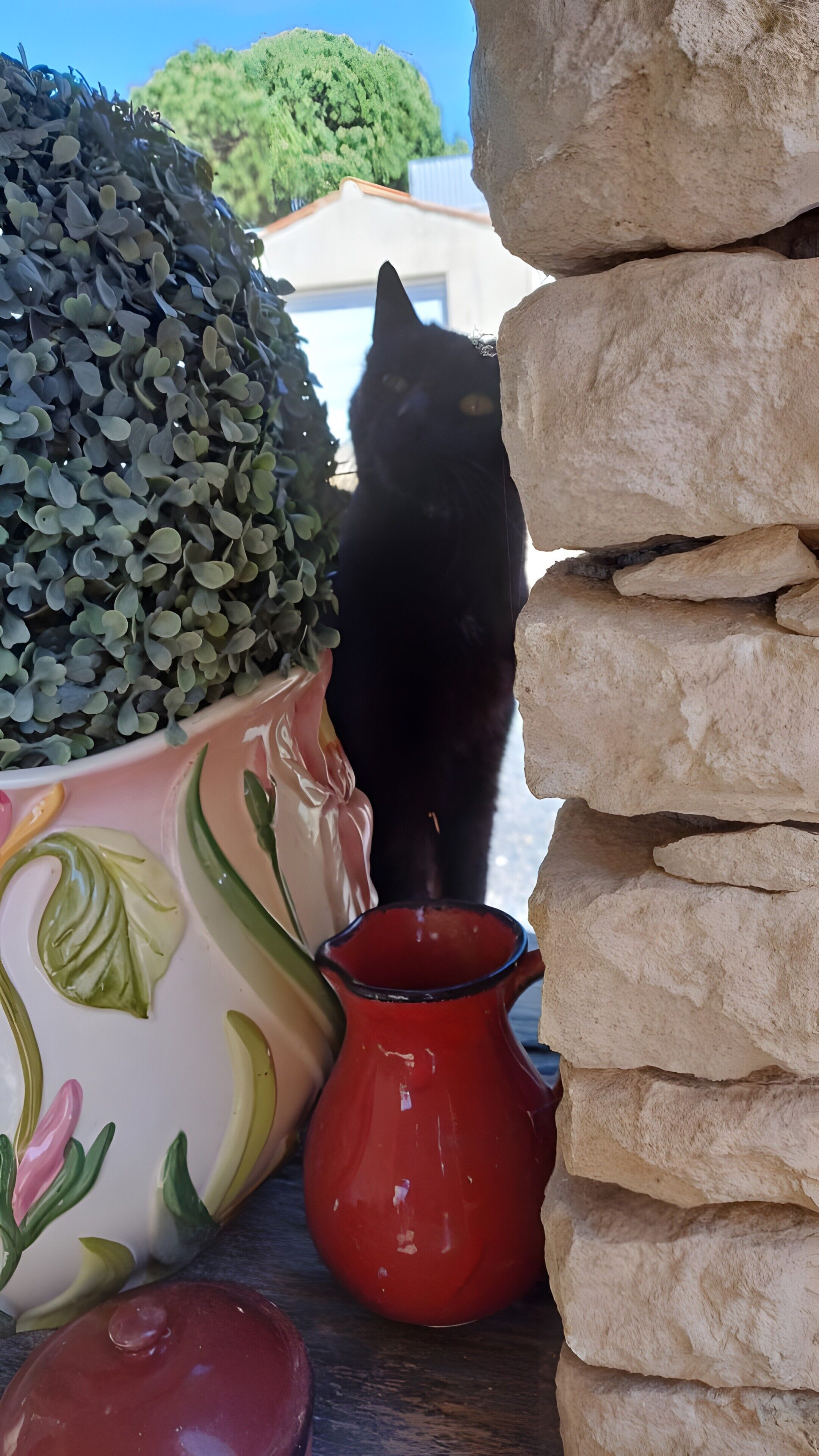 Een zwarte kat die door een spleet tussen een bloempot en een stenen constructie gluurt.