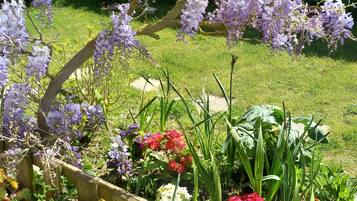 Un jardin agrémenté de fleurs violettes, d’une clôture en bois et de diverses plantes.