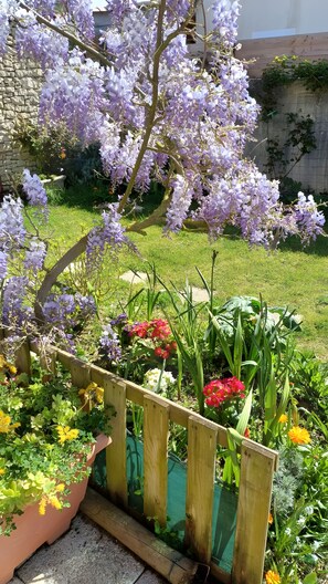 A garden with purple flowers, a wooden fence, and various plants.