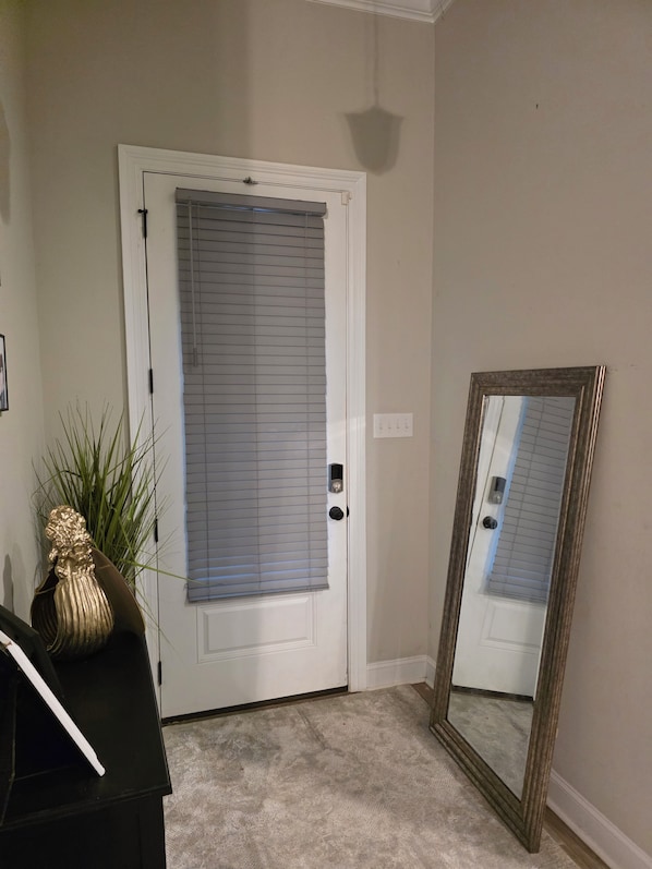 A white door with a window, a small plant, and a mirror on the floor.