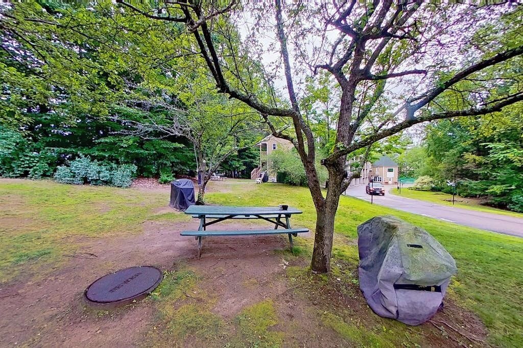 Un espacio de picnic con una mesa y bancos, rodeado de árboles y un edificio al fondo.