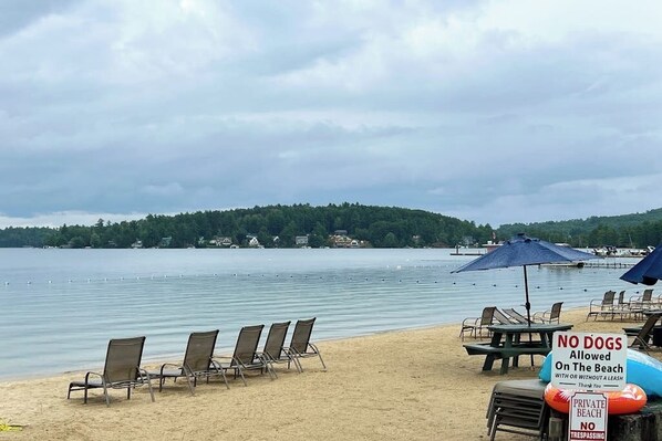 A beach with lounge chairs and a sign prohibiting dogs.