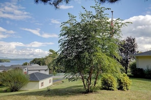 A residential area with houses, a large tree, and a body of water in the background. - 3BR Lakeview - Fireplace - Patio - Firepit (Gilford)