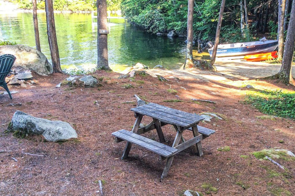 Une table de pique-nique dans une zone boisée, avec un bateau amarré sur l’eau.