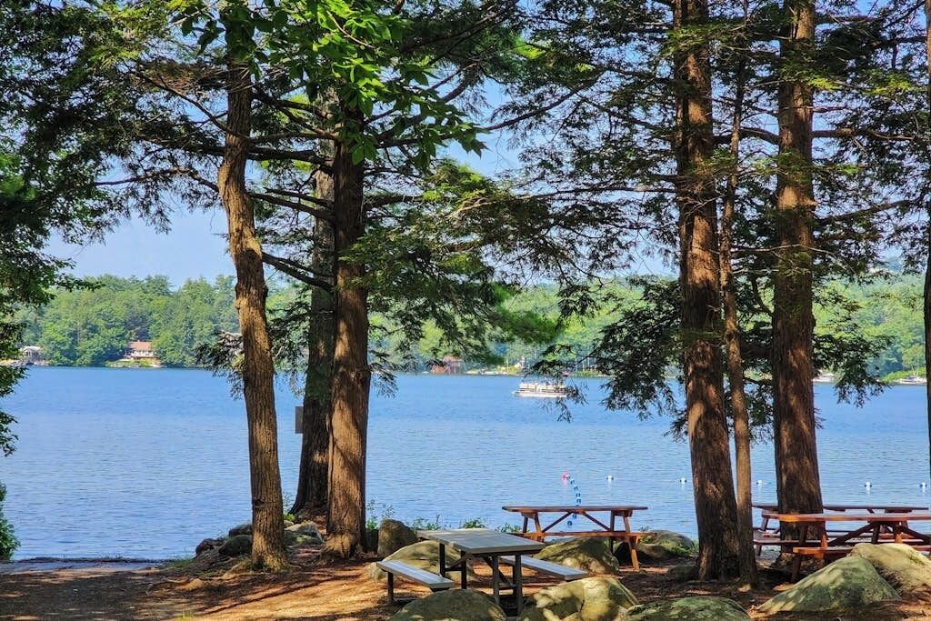Un espace de pique-nique au bord du lac, avec des bancs et des tables en bois, entouré de grands arbres.