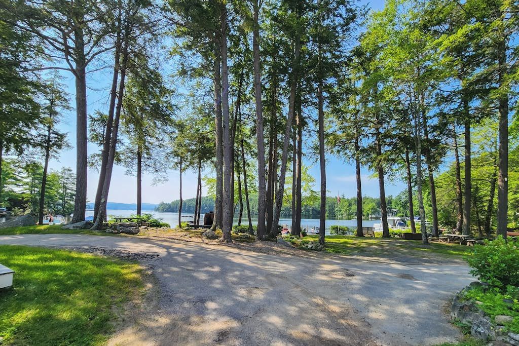 A campground with a paved path leading to a picnic area, surrounded by tall trees and a lake view.