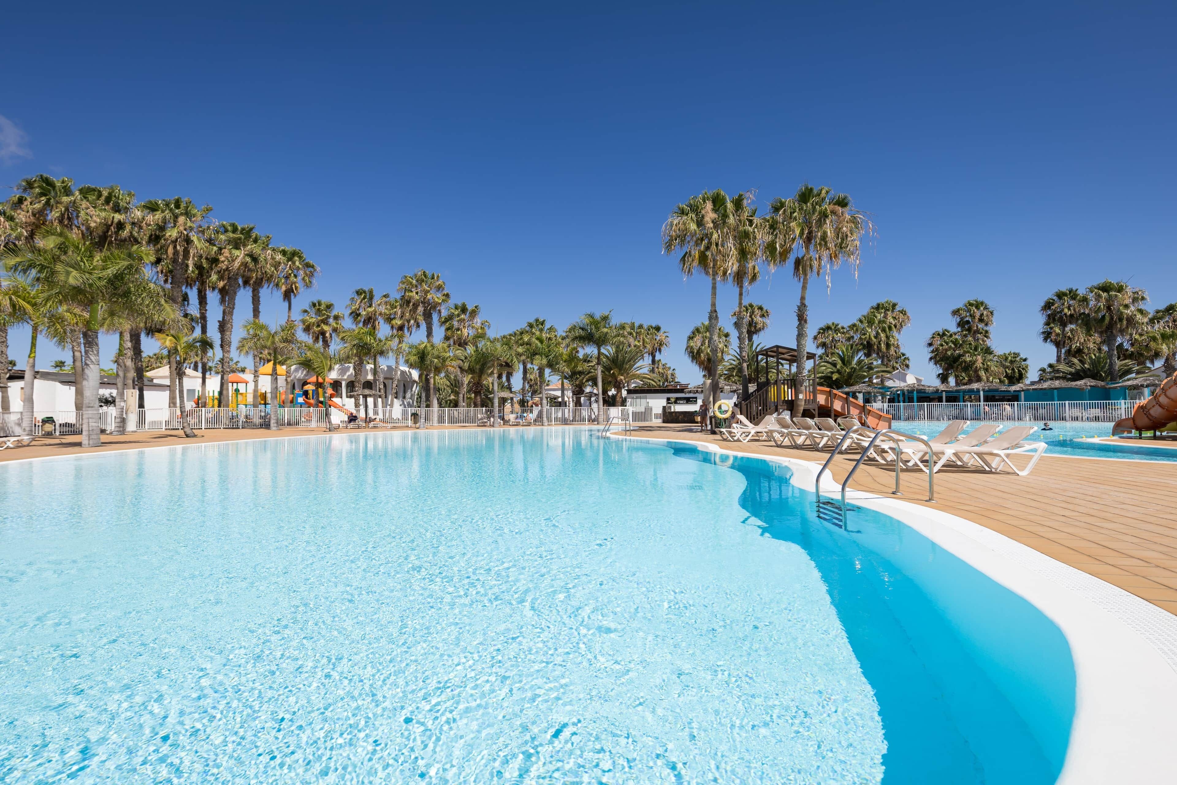 A clear blue pool surrounded by palm trees and lounge chairs.