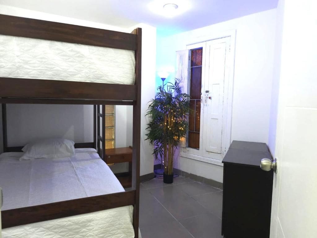 A room with a bunk bed, a potted plant, and a door.