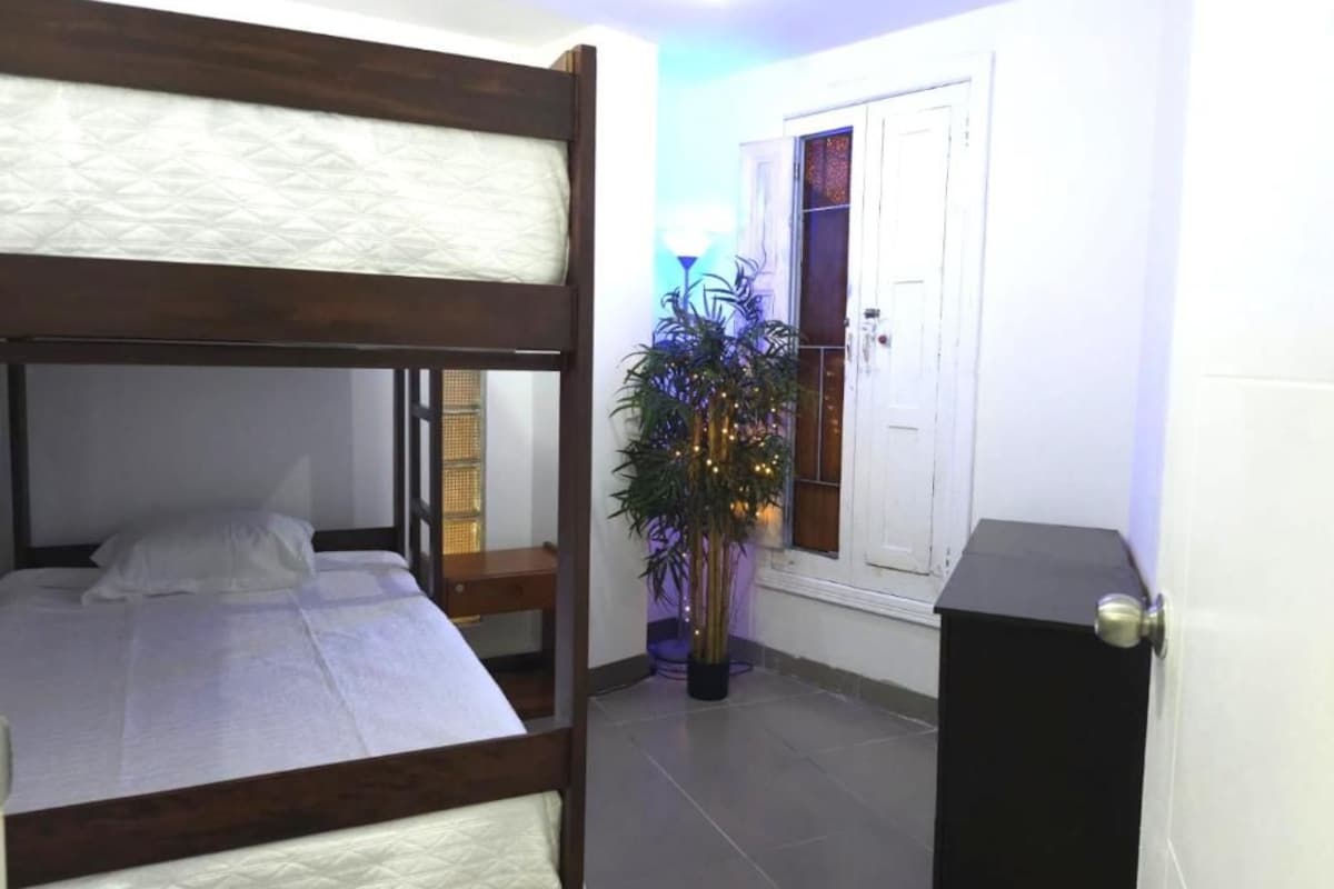 A room with a bunk bed, a potted plant, and a door.