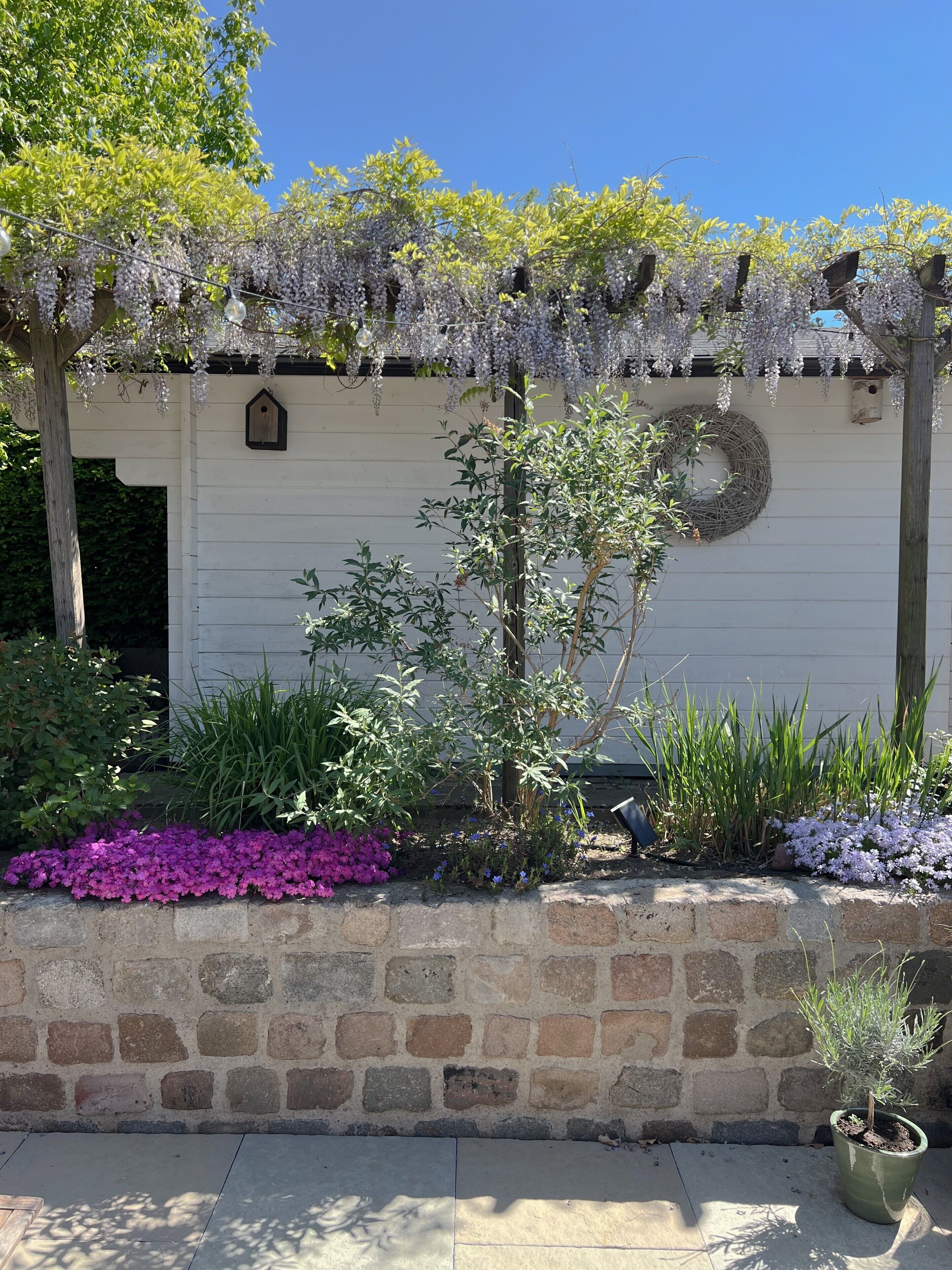 Ein Garten mit einer weißen Mauer, einer Holzpergola mit hängenden Blumen, einem Vogelhaus und einem Kranz.