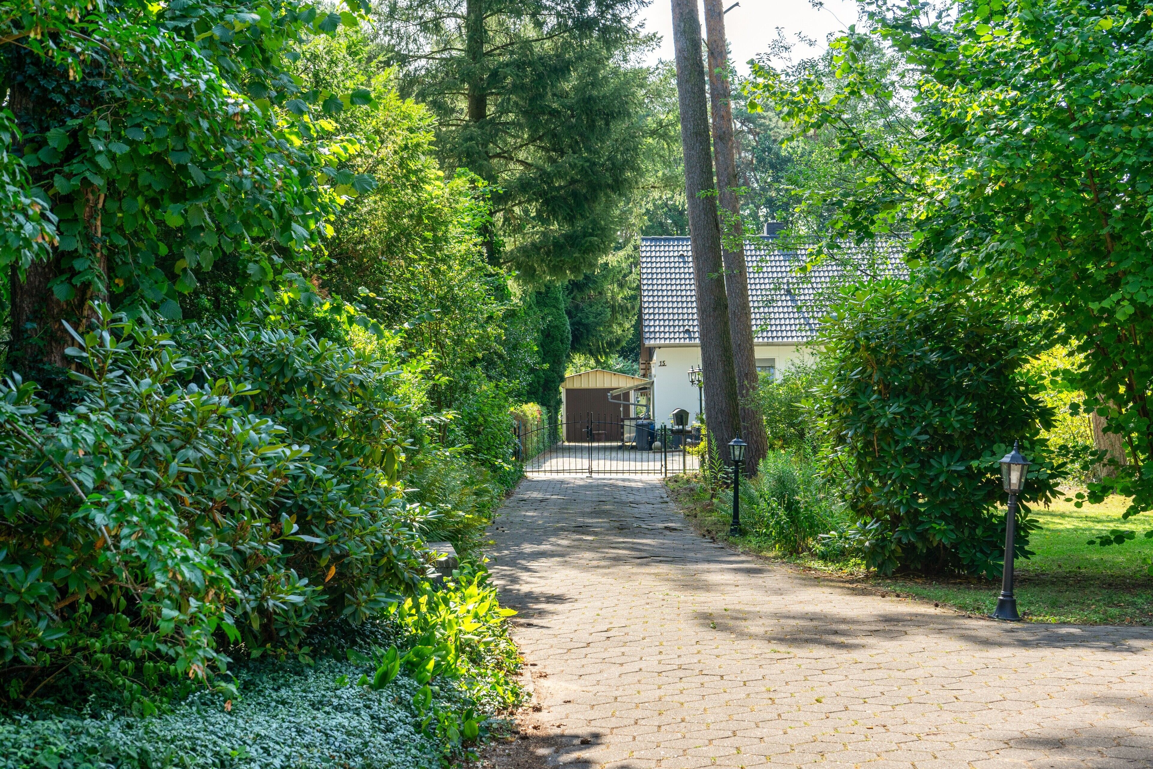 A paved pathway leading to a building with a tiled roof, surrounded by dense greenery.