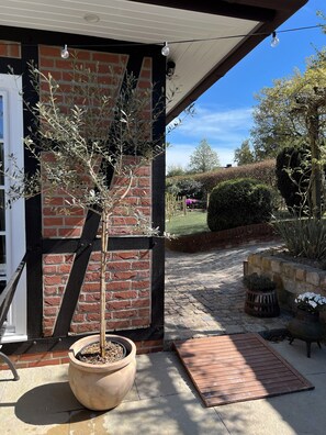 A brick wall with a potted tree, a wooden deck, and a stone pathway leading to a garden.