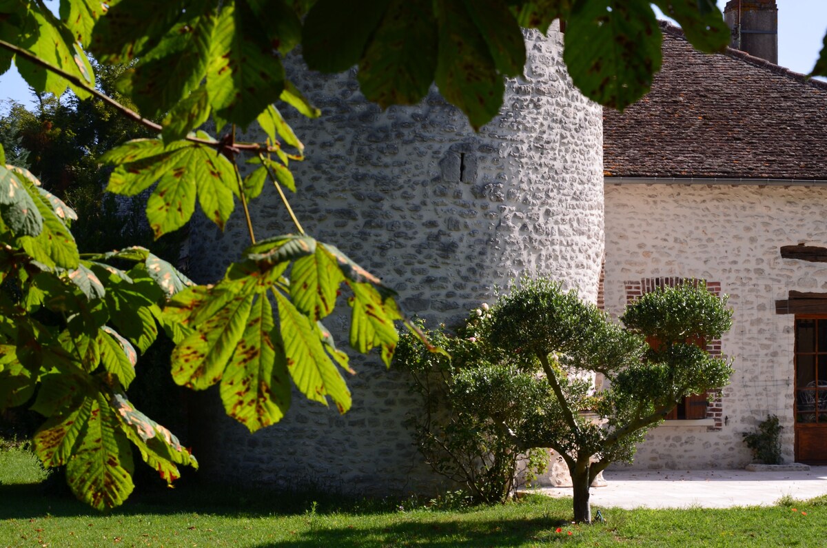 Image de profil de l’hôte