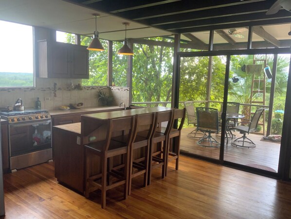 Une cuisine moderne dotée d’un îlot central, de chaises en bois et offrant une vue sur une végétation luxuriante grâce à de grandes fenêtres.