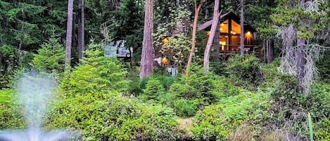 A cabin surrounded by dense forest, a pond with a fountain, and a clear view of the cabin's interior.