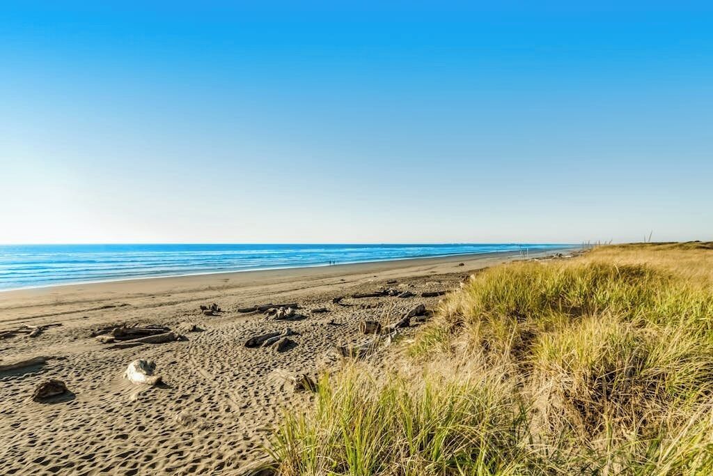 A beach with a clear sky, sandy shore, and sparse vegetation.