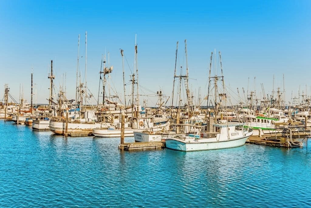 A marina with numerous boats docked at piers.