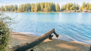 Um lago tranquilo com um tronco de árvore caído em primeiro plano e uma margem arborizada ao fundo.
