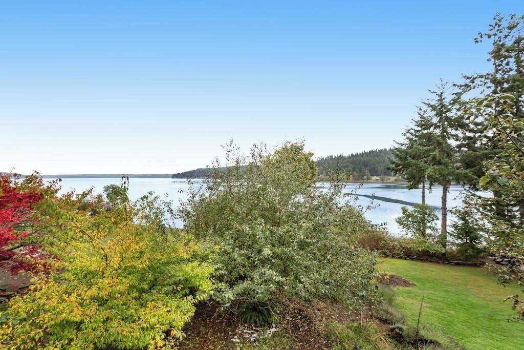 A lakeside view with a grassy area and trees.
