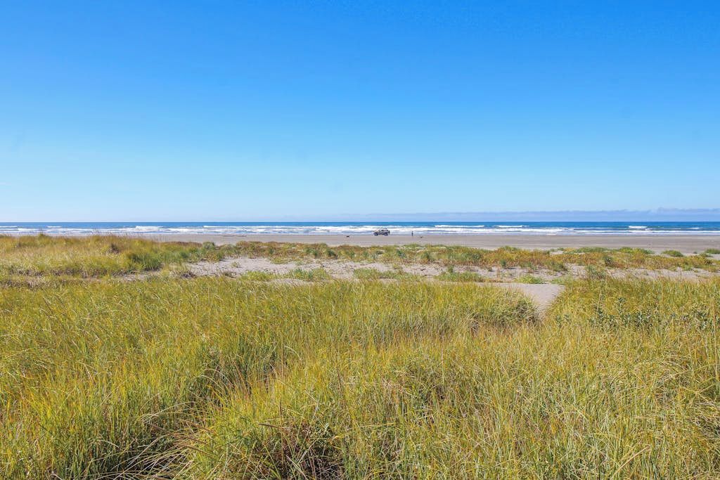 Ein Strand mit Dünen und blauem Himmel.