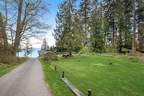 A pathway leading to a building with a view of the water, surrounded by trees and a grassy area. - Impeccable 3BR Oceanview Dog Friendly - Hot Tub (Port Ludlow)